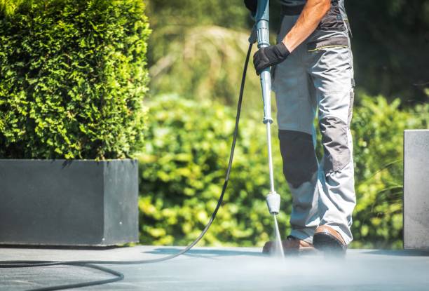 Pre-Holiday Cleaning in Old Westbury, NY